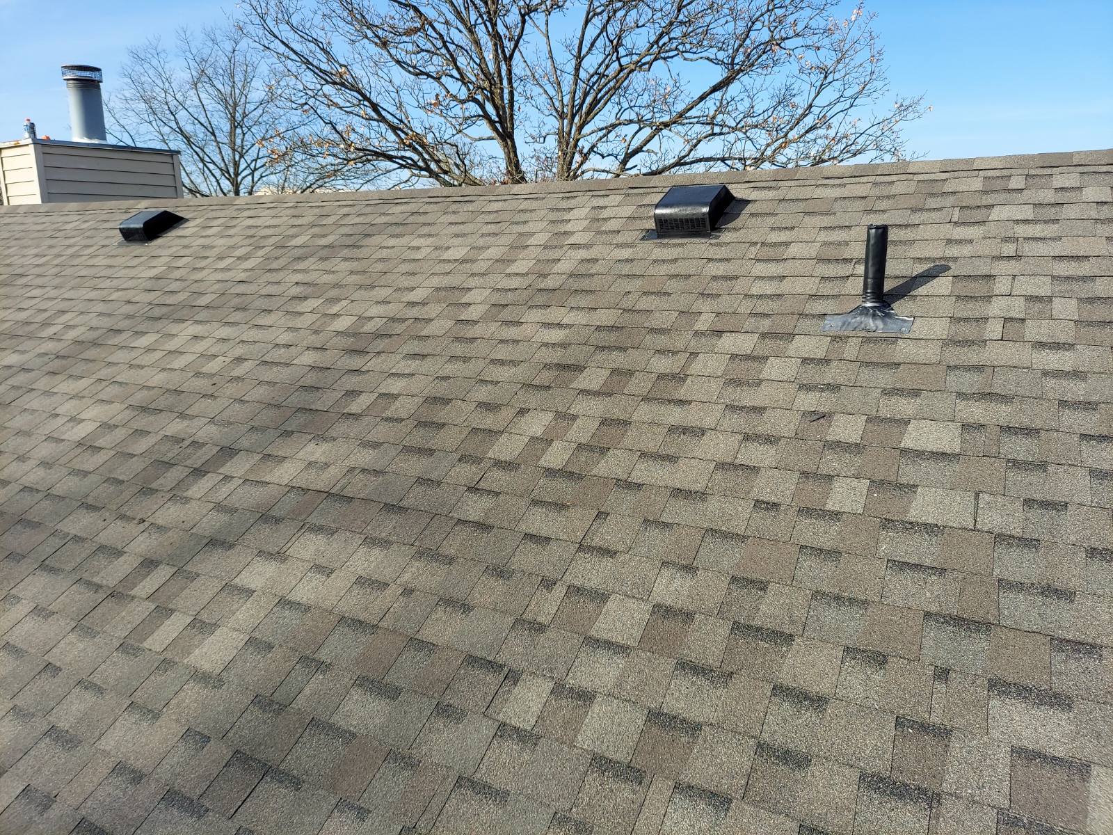 Asphalt shingle roof with multiple vents and bare trees in background